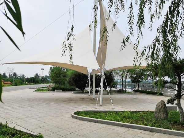 微信图片_20191209122659